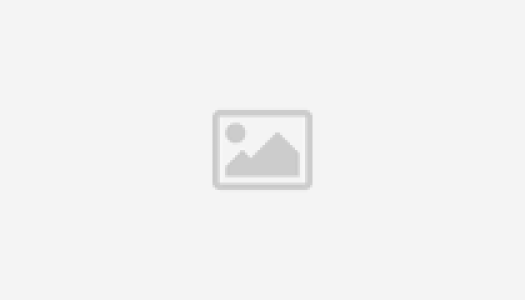 Image_1